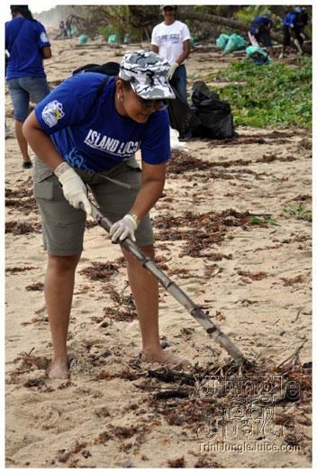 island_local_save_turtle_mar4-074