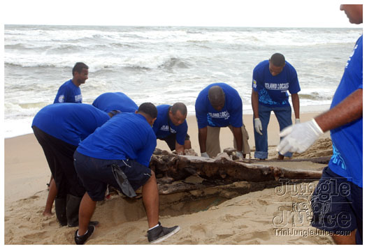 island_local_save_turtle_mar4-075