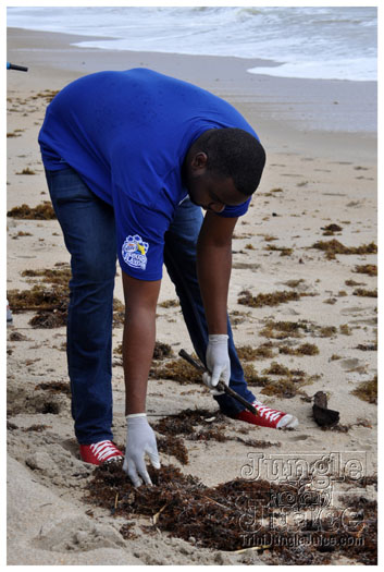 island_local_save_turtle_mar4-081