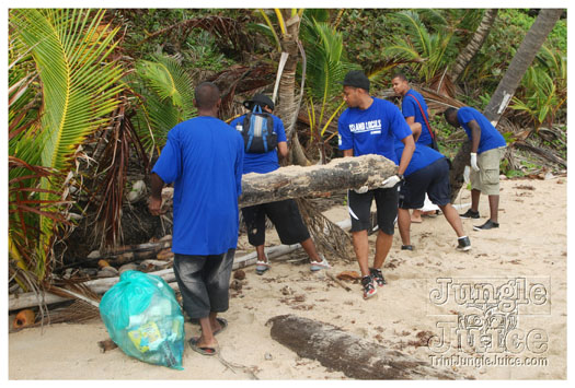 island_local_save_turtle_mar4-082