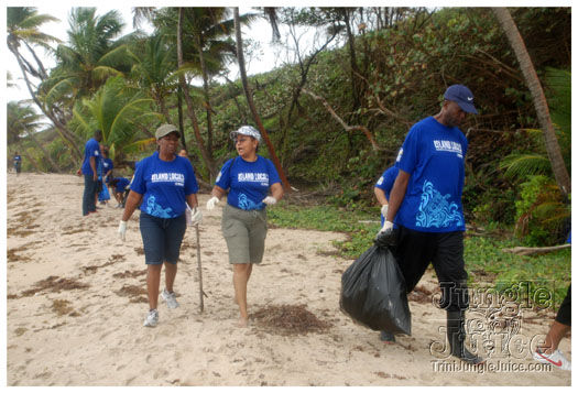 island_local_save_turtle_mar4-095