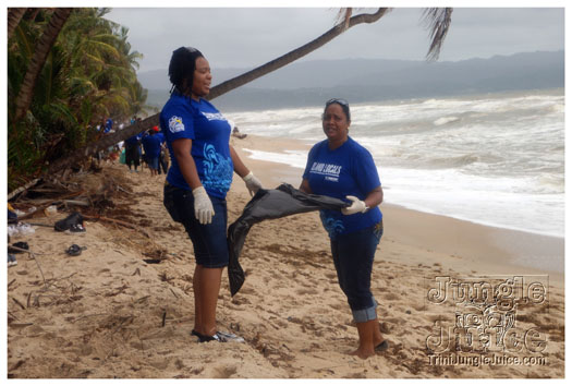 island_local_save_turtle_mar4-097