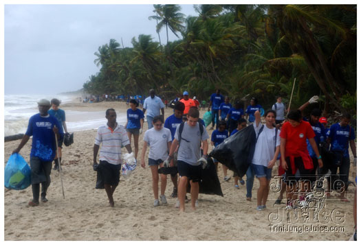 island_local_save_turtle_mar4-106