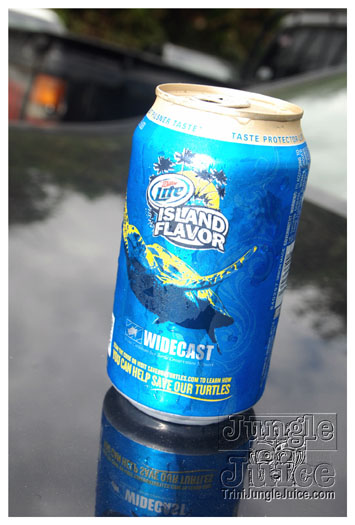 island_local_save_turtle_mar4-107