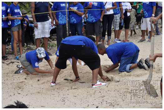 island_local_save_turtle_mar4-109