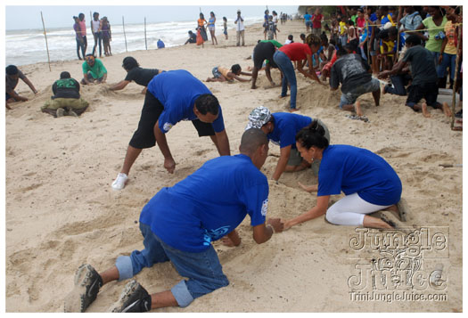 island_local_save_turtle_mar4-110