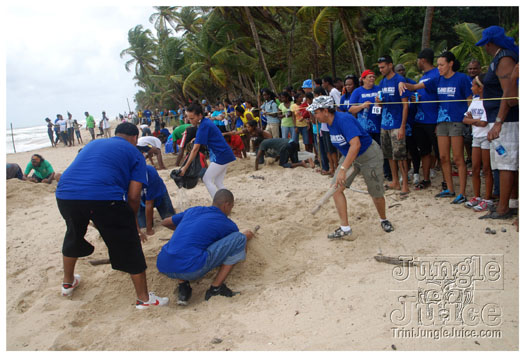 island_local_save_turtle_mar4-111