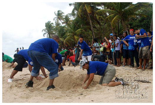 island_local_save_turtle_mar4-112