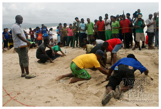 island_local_save_turtle_mar4-114