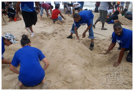 island_local_save_turtle_mar4-115