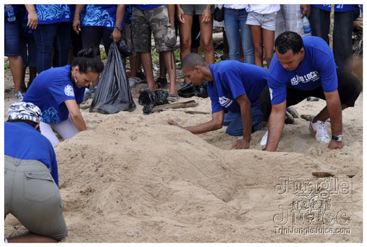 island_local_save_turtle_mar4-116