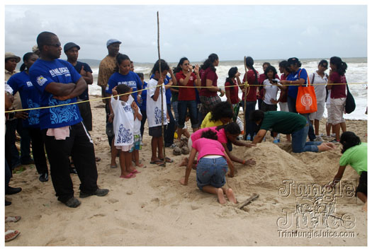 island_local_save_turtle_mar4-117