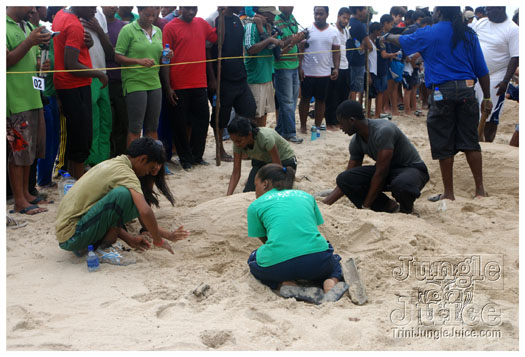 island_local_save_turtle_mar4-118