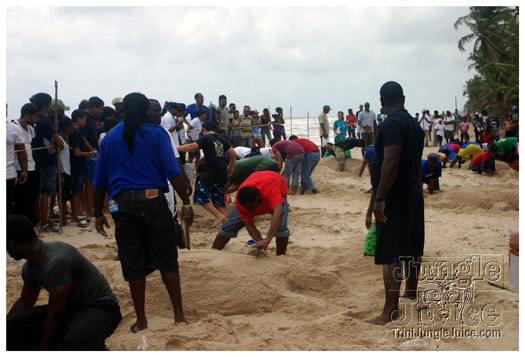 island_local_save_turtle_mar4-119