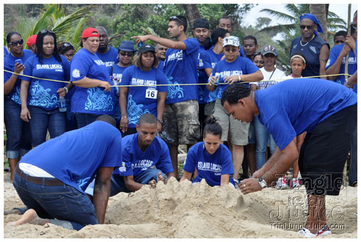 island_local_save_turtle_mar4-121