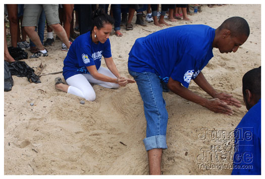 island_local_save_turtle_mar4-122