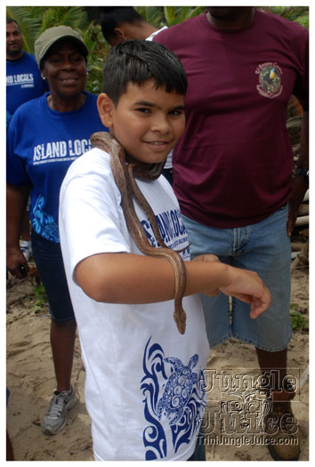 island_local_save_turtle_mar4-124