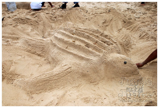 island_local_save_turtle_mar4-126