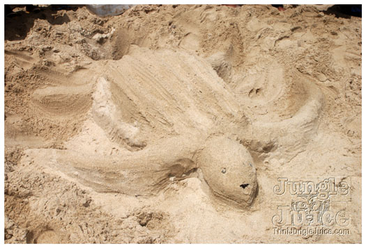 island_local_save_turtle_mar4-128