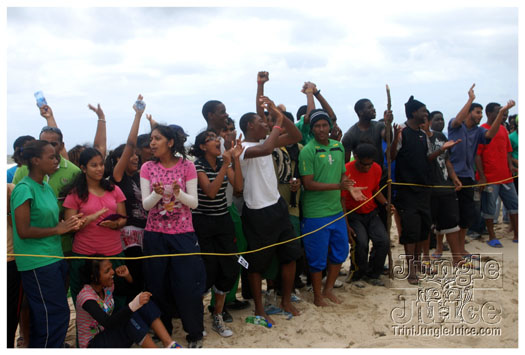 island_local_save_turtle_mar4-134