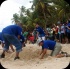 island_local_save_turtle_mar4-112
