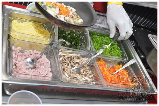 the_resolution_2012_jan1-031