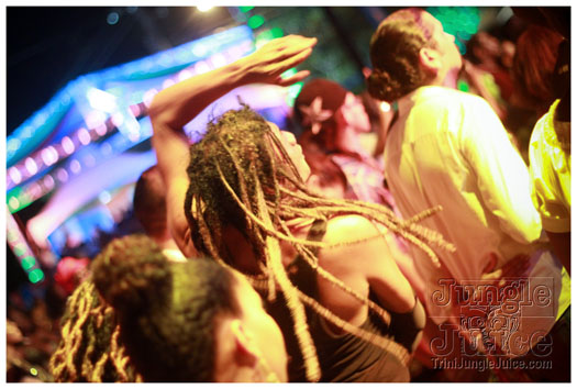 tobago_jazz_experience_2012-061