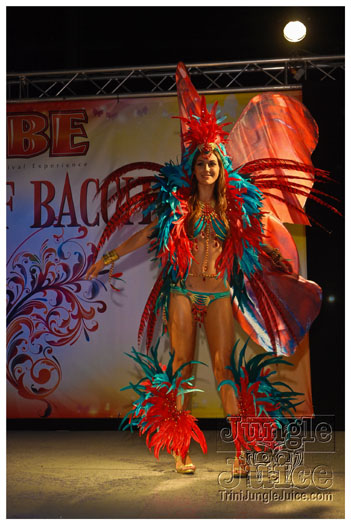 tribe_2013_launch_jul21_pt1-008