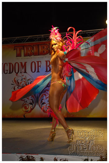 tribe_2013_launch_jul21_pt1-011