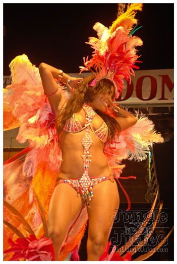 tribe_2013_launch_jul21_pt1-063