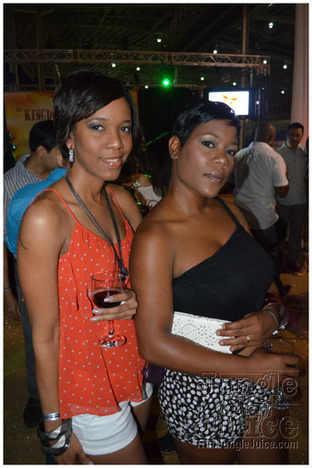 tribe_2013_launch_jul21_pt2-006