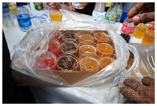 vale_bfast_party_2012_part1-235