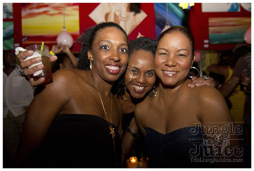 sprang_anniversary_party_jul4-005