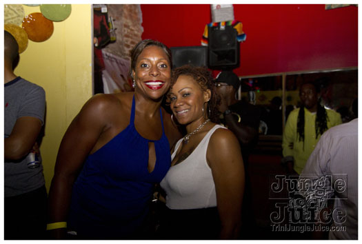 sprang_anniversary_party_jul4-012