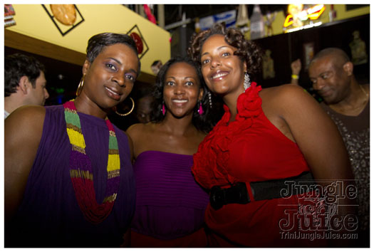 sprang_anniversary_party_jul4-014