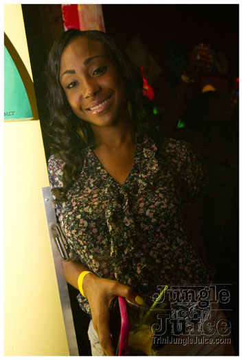 sprang_anniversary_party_jul4-015