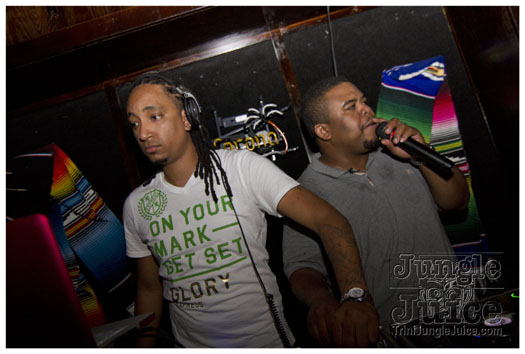 sprang_anniversary_party_jul4-020