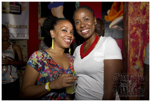 sprang_anniversary_party_jul4-030