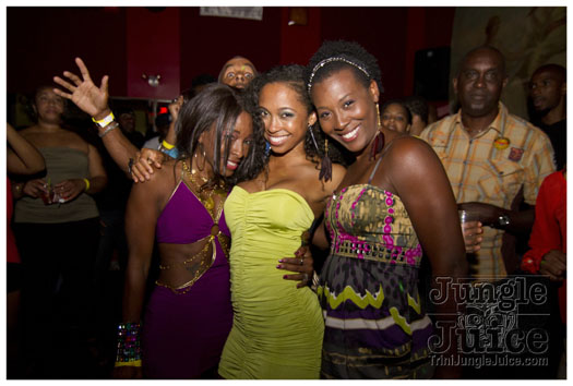 sprang_anniversary_party_jul4-033