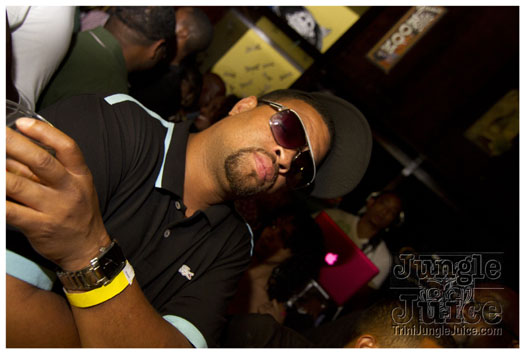 sprang_anniversary_party_jul4-039