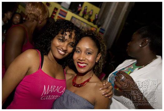 sprang_anniversary_party_jul4-040