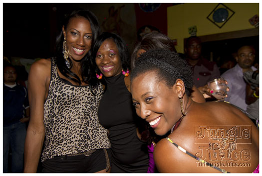 sprang_anniversary_party_jul4-043