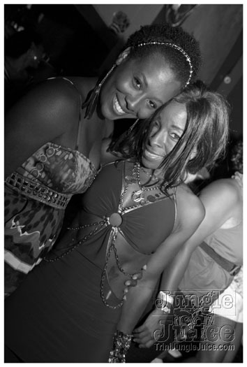 sprang_anniversary_party_jul4-053