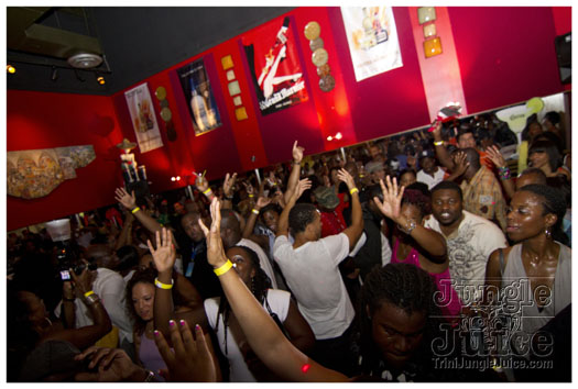 sprang_anniversary_party_jul4-054