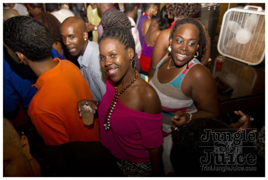 sprang_anniversary_party_jul4-071