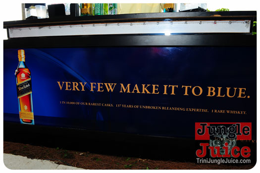 beach_house_bim_2013-008