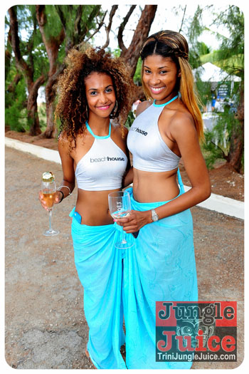 beach_house_bim_2013-011