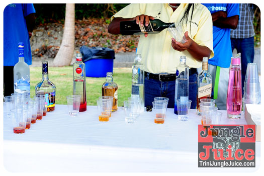 beach_house_bim_2013-014