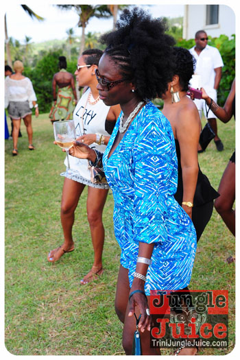 beach_house_bim_2013-027