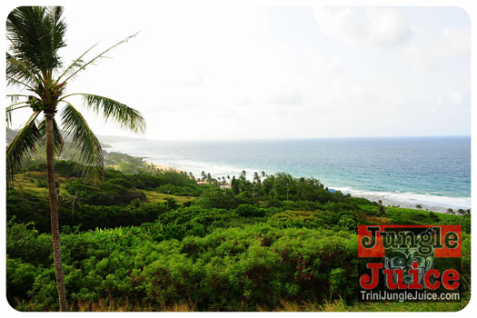 beach_house_bim_2013-031